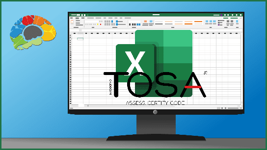 Learning Excel 2019 - Expert (TOSA)