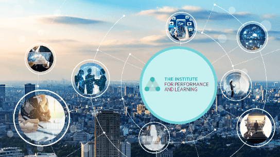 Assessing and Addressing Workforce Performance Solutions