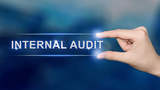 IIA Standards Overview